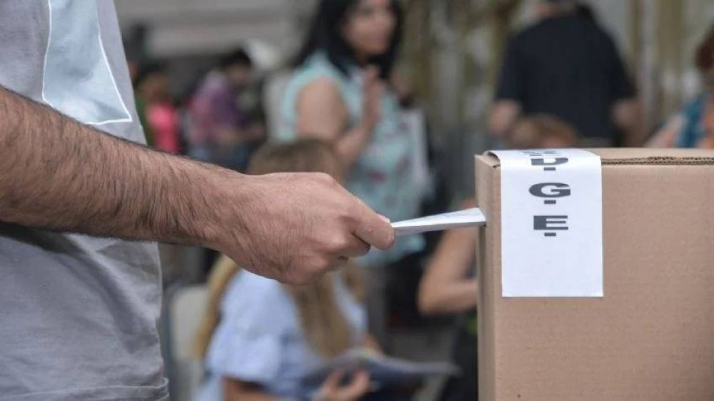 Los nmeros de las elecciones en Mar del Plata que miran candidatos bonaerenses y nacionales