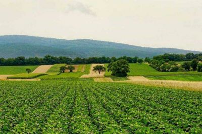 PepsiCo y Walmart sellan colaboración centrada en la agricultura regenerativa