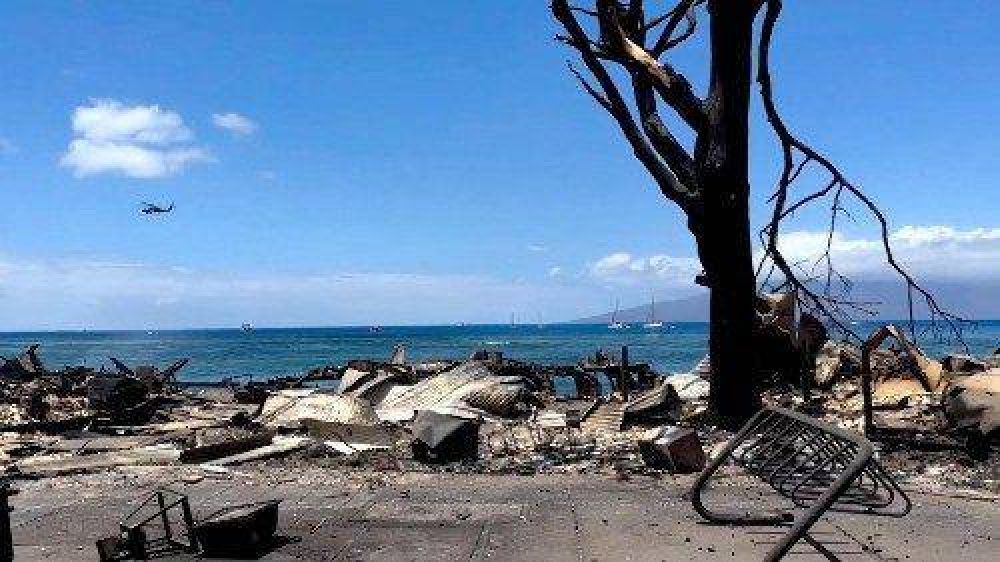 El dolor del Papa por las vctimas de los incendios en Hawi