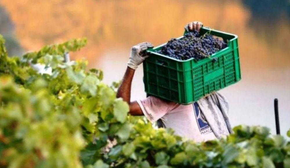 Para el sector vitivincola, la devaluacin post PASO se llev puesto al dlar agro