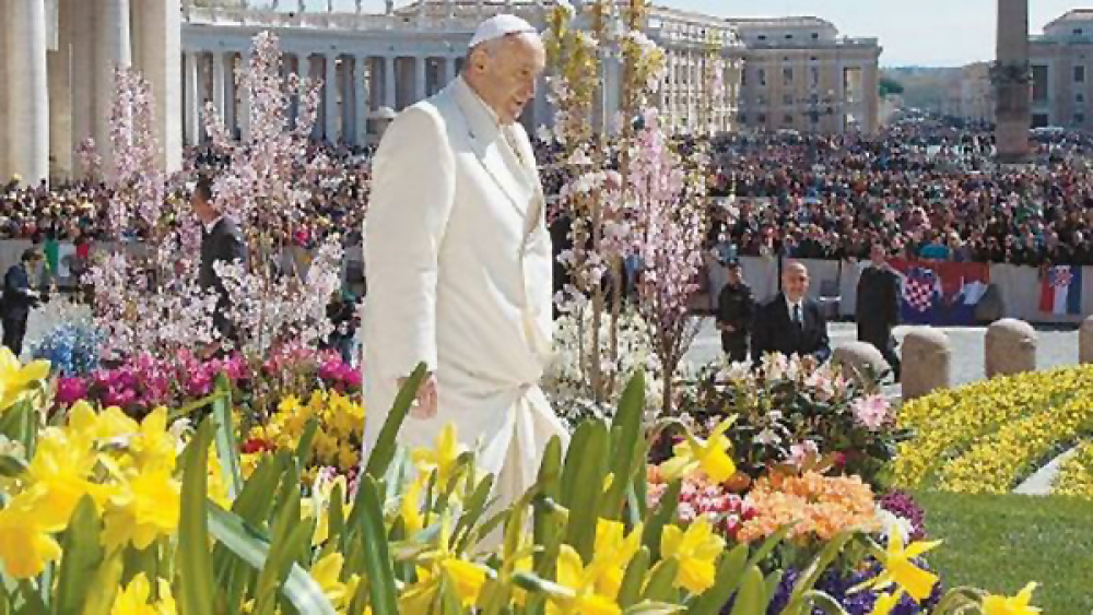 Laudato si': el Papa prev� publicar el 4 de octubre la segunda parte