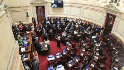 El Senado retoma el debate sobre la Ley de Alquileres y recibe a deudores de créditos UVA