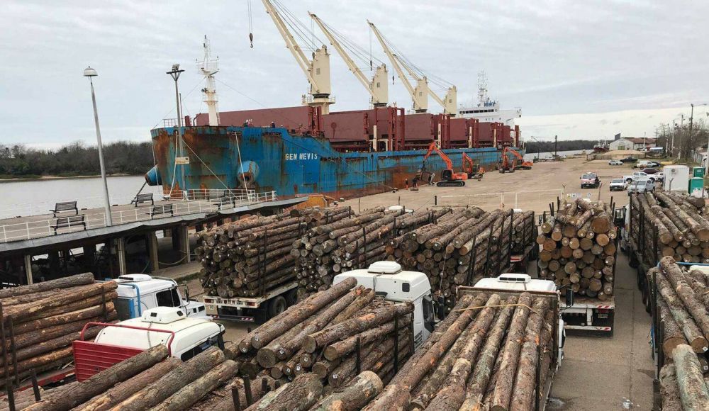 La Federacin de Estibadores denunci despidos en puertos de Entre Ros y apunt contra 