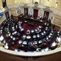 Senado: Comienza la pulseada por la reforma del Impuesto a las Ganancias