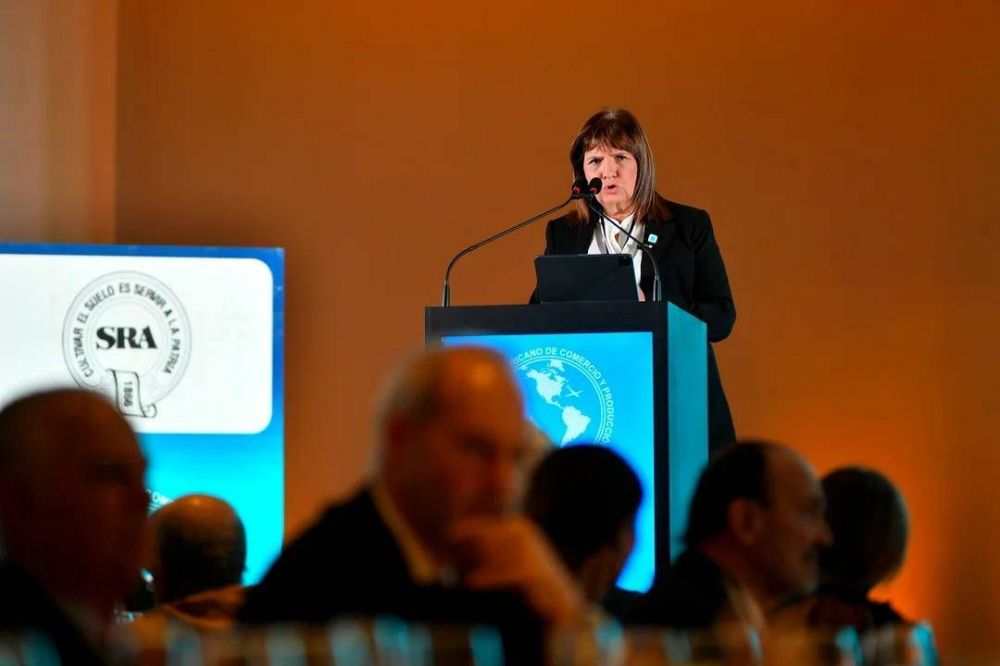 Bullrich cruz a Milei: Si tu secretario de trabajo va a ser Barrionuevo, la casta la tens adentro