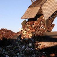 El Papa: El desperdicio de alimentos es tan funesto como la tragedia del hambre