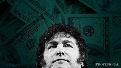 Alarma en Wall Street: creen que Javier Milei no tiene los d�lares para su plan y alimenta corrida contra el peso