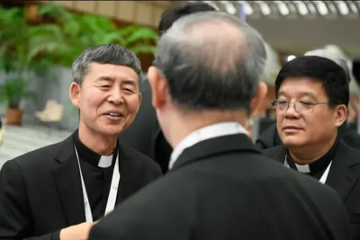 Dos obispos chinos designados por el Papa abandonan el S�nodo