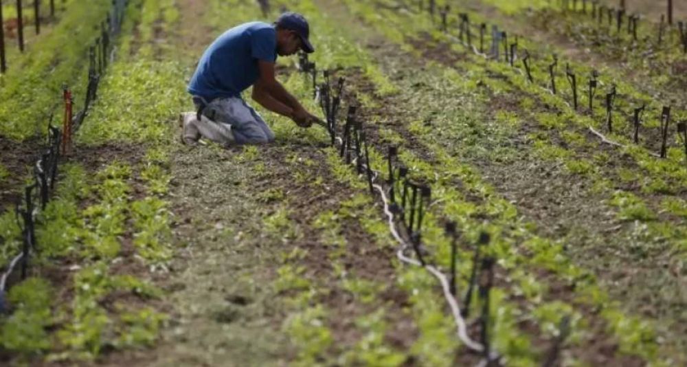 PepsiCo promete aplicar agricultura regenerativa para casi el 100% de sus insumos