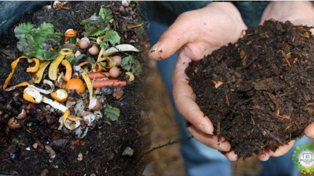 Compostaje Domstico: Transforma los residuos en abono natural