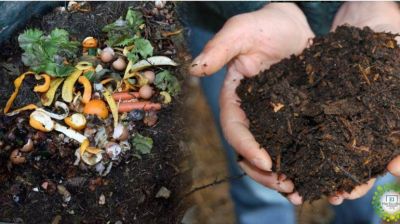 Compostaje Doméstico: Transforma los residuos en abono natural