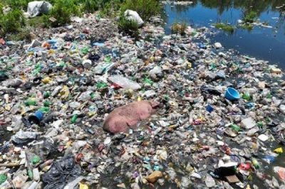 Basural flotante: Preocupa el impacto social y la contaminacin del agua