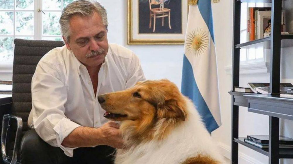 Custodia presidencial: Alberto Fern�ndez acus� a Patricia Bullrich de estar detr�s de una 