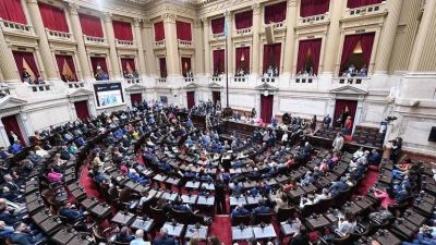 El Partido Justicialista y Uni�n por la Patria se expresaron en contra del DNU y lo consideraron inconstitucional