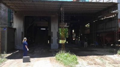 Muertes laborales: Un operario muri al quedar sepultado por los granos en una cerealera del partido bonaerense de Azul