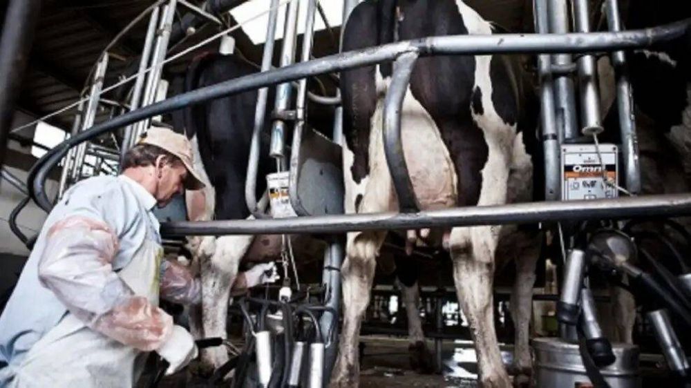 El Gobierno extendi la quita de retenciones para productos lcteos pero suspendi reintegros