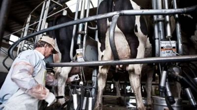 El Gobierno extendió la quita de retenciones para productos lácteos pero suspendió reintegros