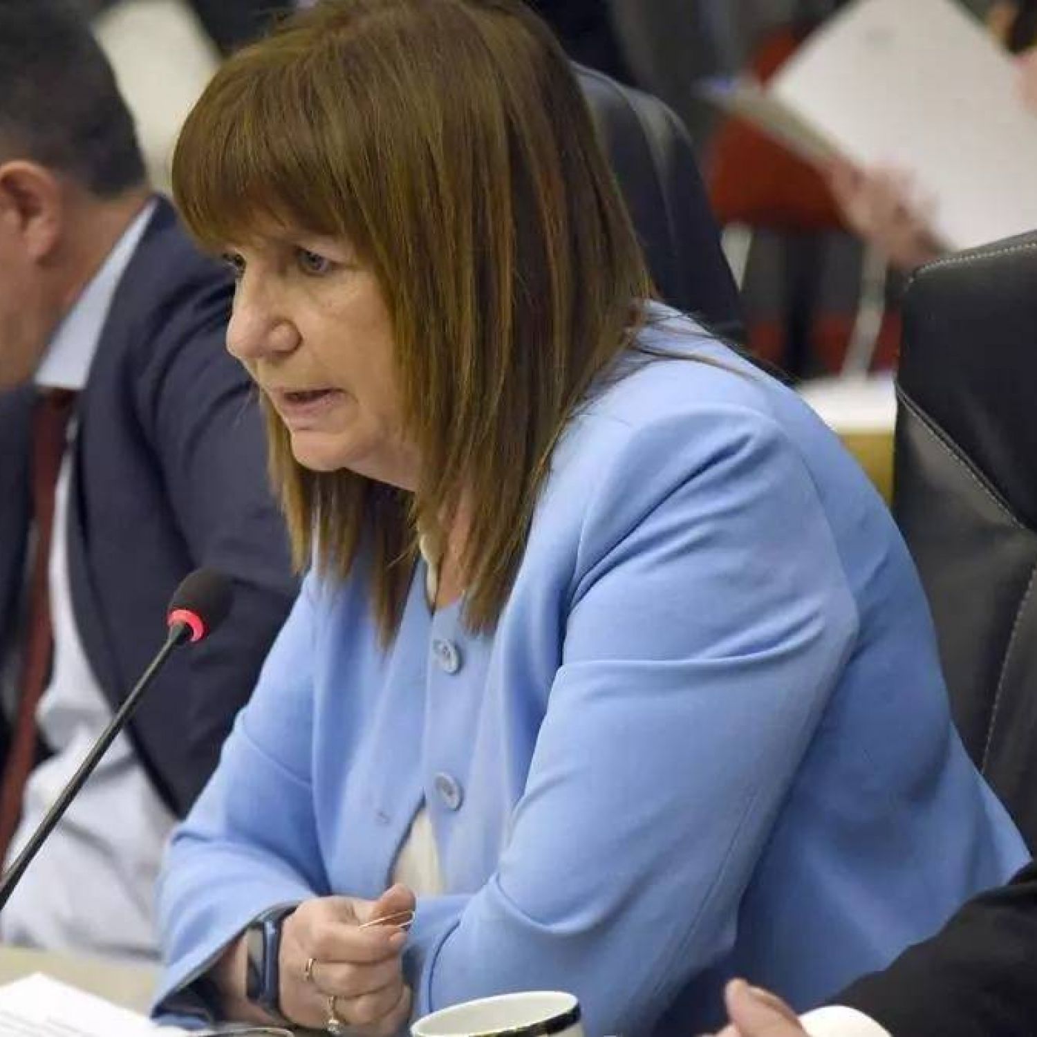 Bullrich dio marcha atrás con la polémica autorización para las ...