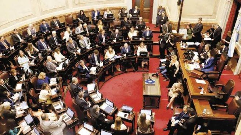 Clave para ley mnibus: patagnicos se desmarcan y crean bloque propio de siete senadores