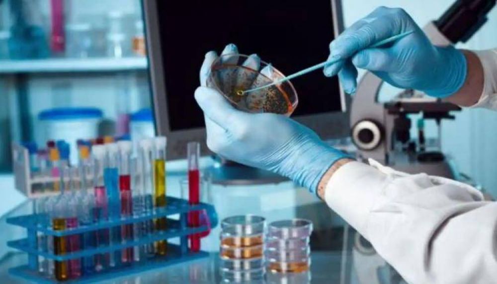 Francisco advierte sobre la mercantilizaci�n de la salud y la investigaci�n cl�nica