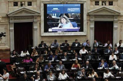 Carta de los organismos de derechos humanos a los diputados y diputadas  
