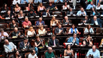 Diputados aprob� en general el proyecto de la ley 