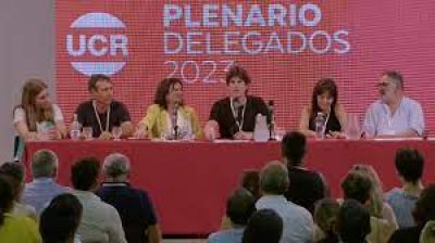 La UCR se planta por el DNU, mientras Macri sum un apoyo clave