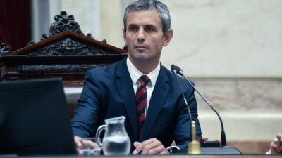 Para Mart�n Menem, 