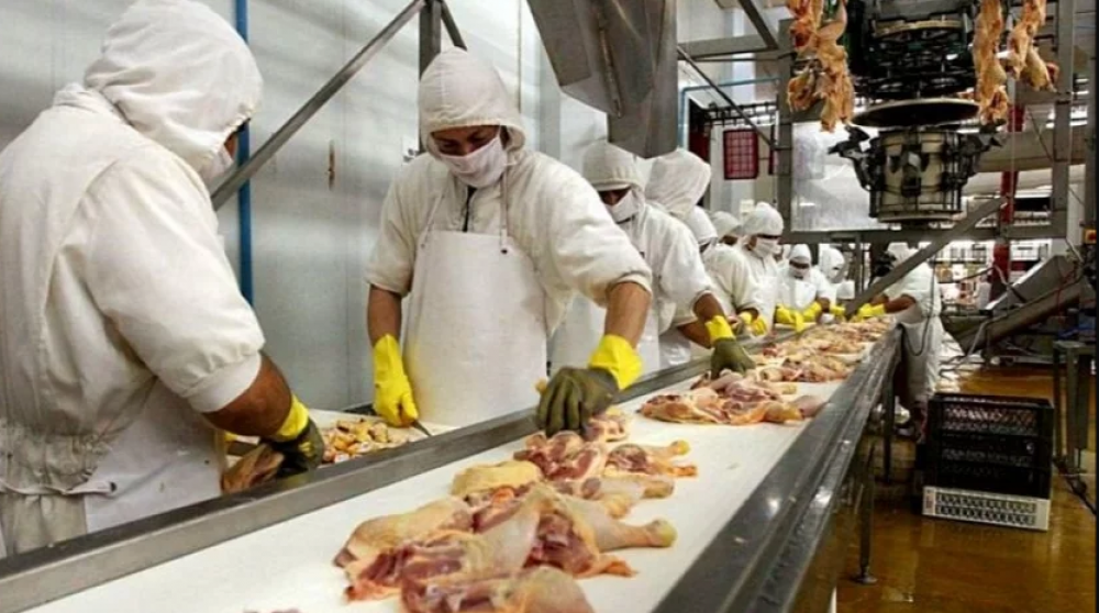 Paritaria avcola: la Federacin de la Carne logr un nuevo acuerdo salarial y acumula ms del 235% en 10 meses