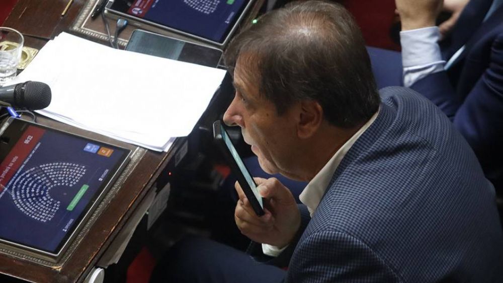 Zago contradijo a Milei y aclar� que el Congreso no es 