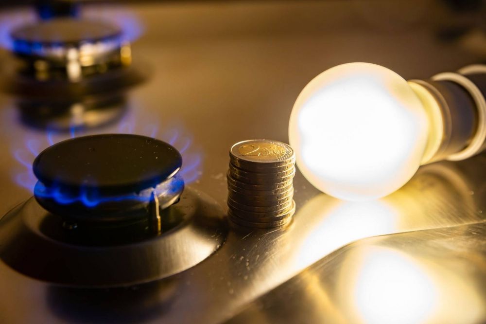 Tarifas de luz y gas: los subsidios irn directo a las familias, cmo se cobrarn?