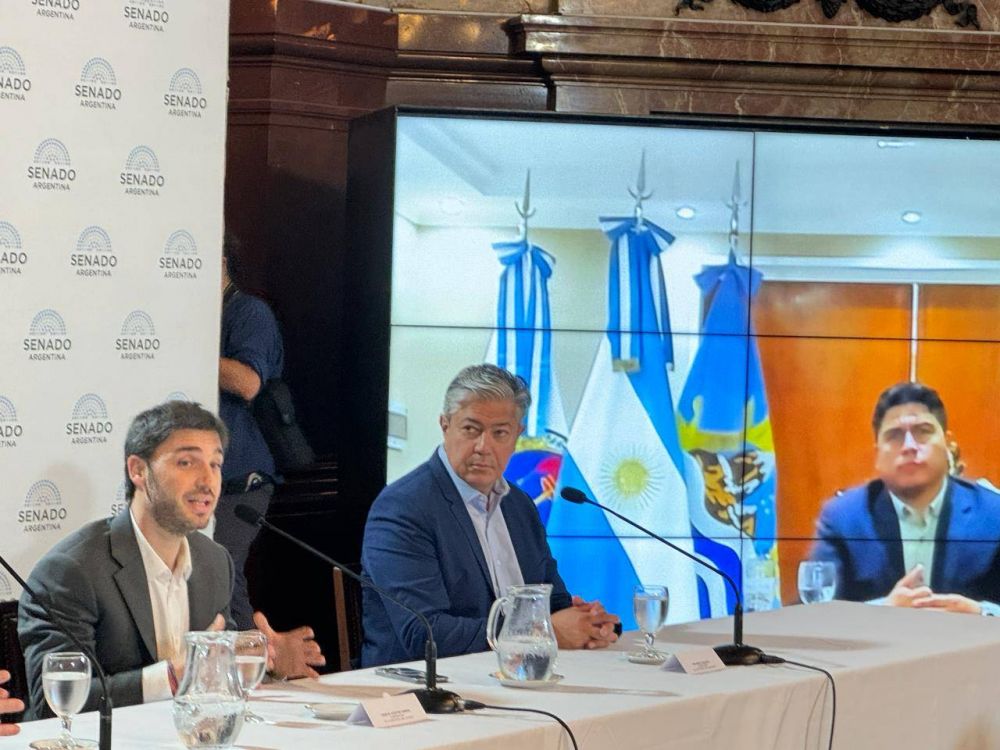 El pacto de los gobernadores patagnicos para salir del conflicto y su estrategia frente a Milei
