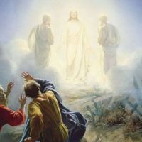El Card. Rossi anima a levantar la mirada a Dios y dejarse transfigurar por Él