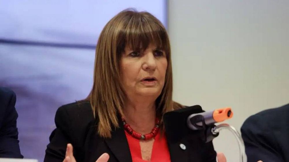 Patricia Bullrich explic su frase de los guanacos en Chubut y volvi a criticar a 