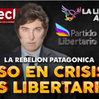 Libertarios en jaque: cómo se recompone el sector mileista en la Patagonia