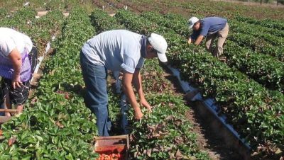 UATRE cerr un acuerdo en paritarias para los salarios de marzo de los trabajadores rurales