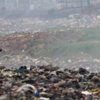 Triste panorama: la ONU advirti que millones de toneladas de basura electrnica estn contaminando el mundo