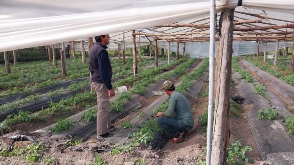 Corrientes: preocupacin por el cierre del Instituto Nacional de Agronoma Familiar