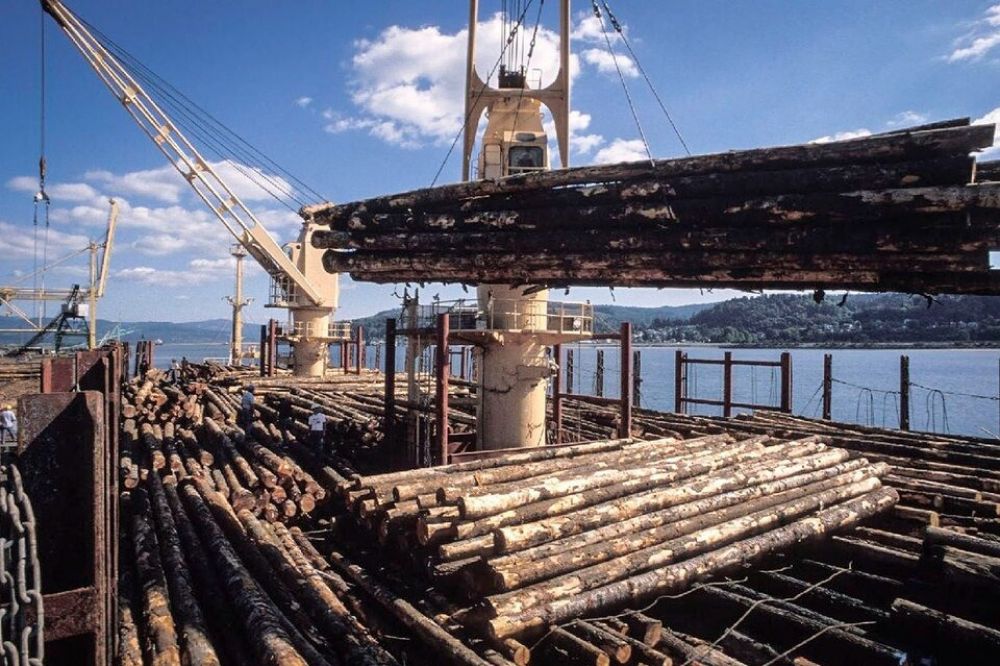 El derrumbe del imperio de la madera