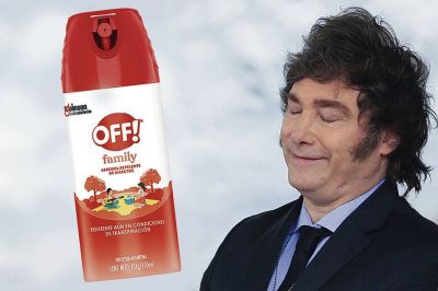 La novela del OFF y el abandono del Estado
