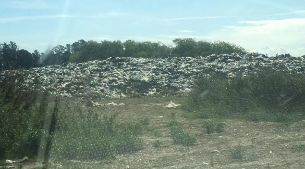 Calamitosa situacin en Miramar con la basura: un video muestra el caos en el predio de residuos