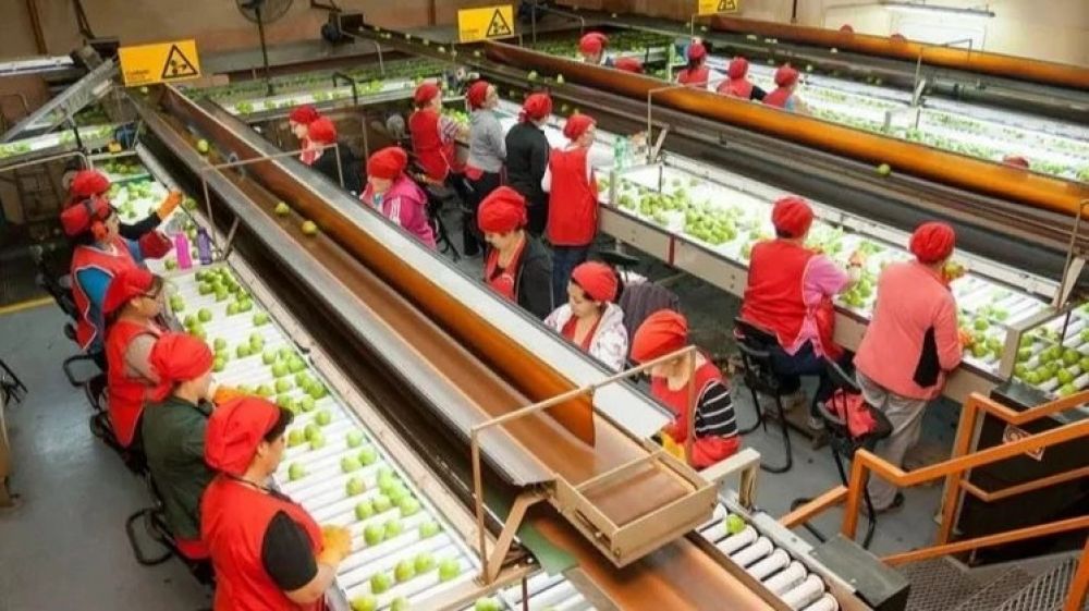 Trabajadores de la fruta obtendrn un sueldo bsico de ms de $1 milln