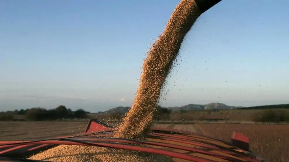 Resultado agridulce para Milei: la liquidacin de divisas del agro subi a nivel mensual pero cay en comparacin al ao pasado