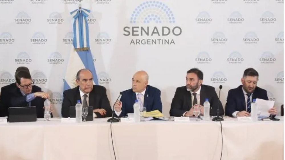 El Senado ya analiza la ley bases en un plenario de comisiones