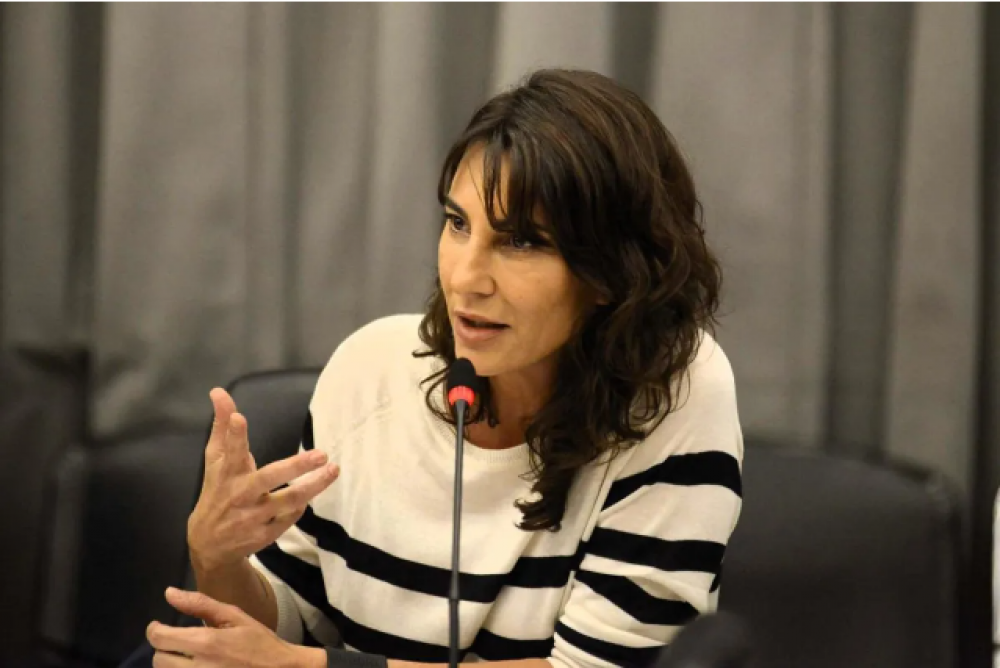 V�a cultura, De la Sota agit� al Senado contra Ley Bases