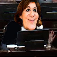 Revisin en Senado: Vigo marca ms diferencias (con Bases y con Juez)