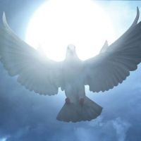 Cmo se simboliza el Espritu santo?