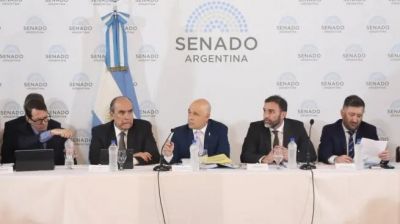 Anticipo: Gobierno aceptar� cambios en el RIGI para avanzar en la aprobaci�n de la ley Bases