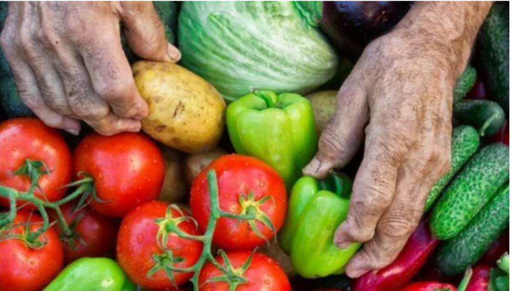 Paritarias: Trabajadores de la Alimentacin inician un plan de lucha con paros en todo el pas