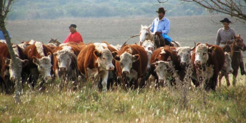 UATRE reclam ante la Comisin de Trabajo Agrario un aumento salarial para los trabajadores rurales y una recomposicin por prdida ante la inflacin